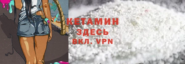 сатива Инта