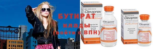 сатива Инта