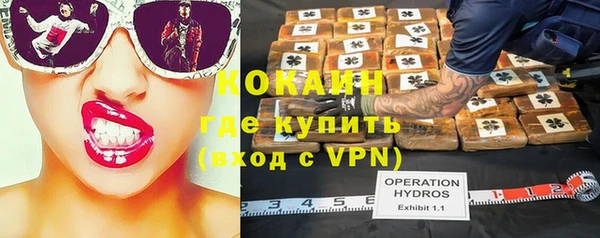 сатива Инта