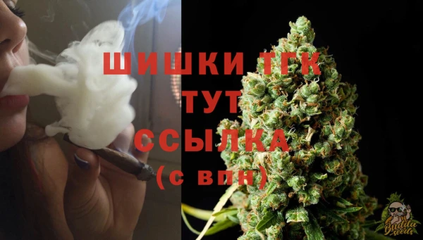 соль ск Иннополис