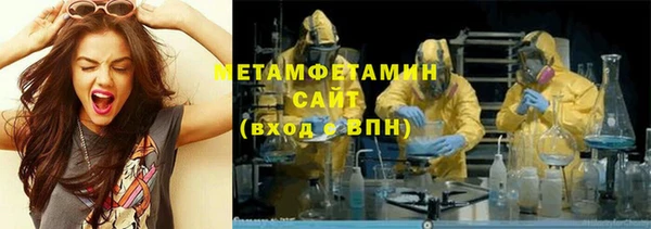 сатива Инта