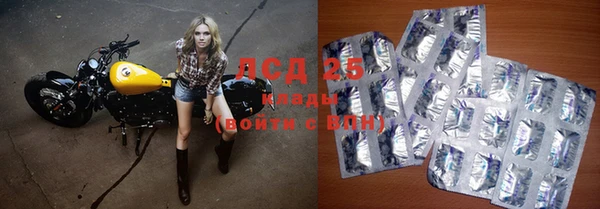 сатива Инта