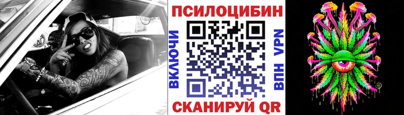 kraken маркетплейс  Новочеркасск  Псилоцибиновые грибы Cubensis  купить закладку 